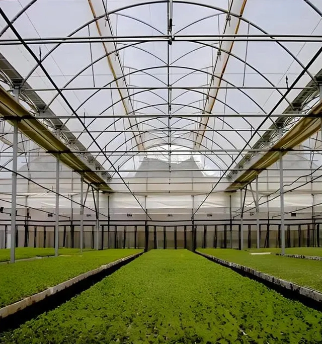 Теплица стекла блог и скачать