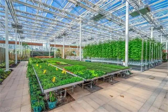 The Advantages Of Applying Glass Greenhouse Technology To Modern Agriculture The Advantages Of Applying Glass Greenhouse Technology To Modern Agriculture