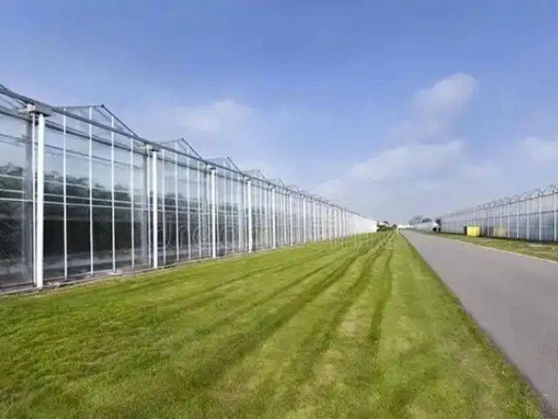 Анализ преимуществ интеллектуальных стеклянных теплиц