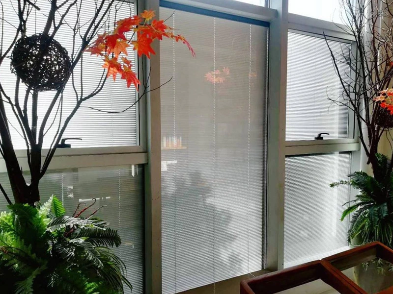 Стекло изолированное шторками-легкая чистка & звукоизоляционный & лучший эффект затенения